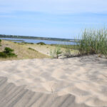 Cape Cod National Seashore