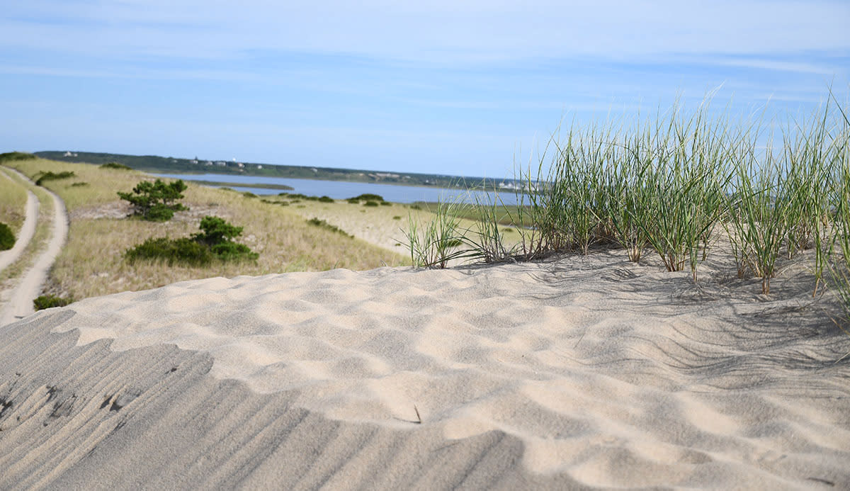 Cape Cod National Seashore
