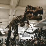 american museum of natural history