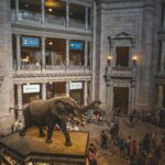American museum of natural history