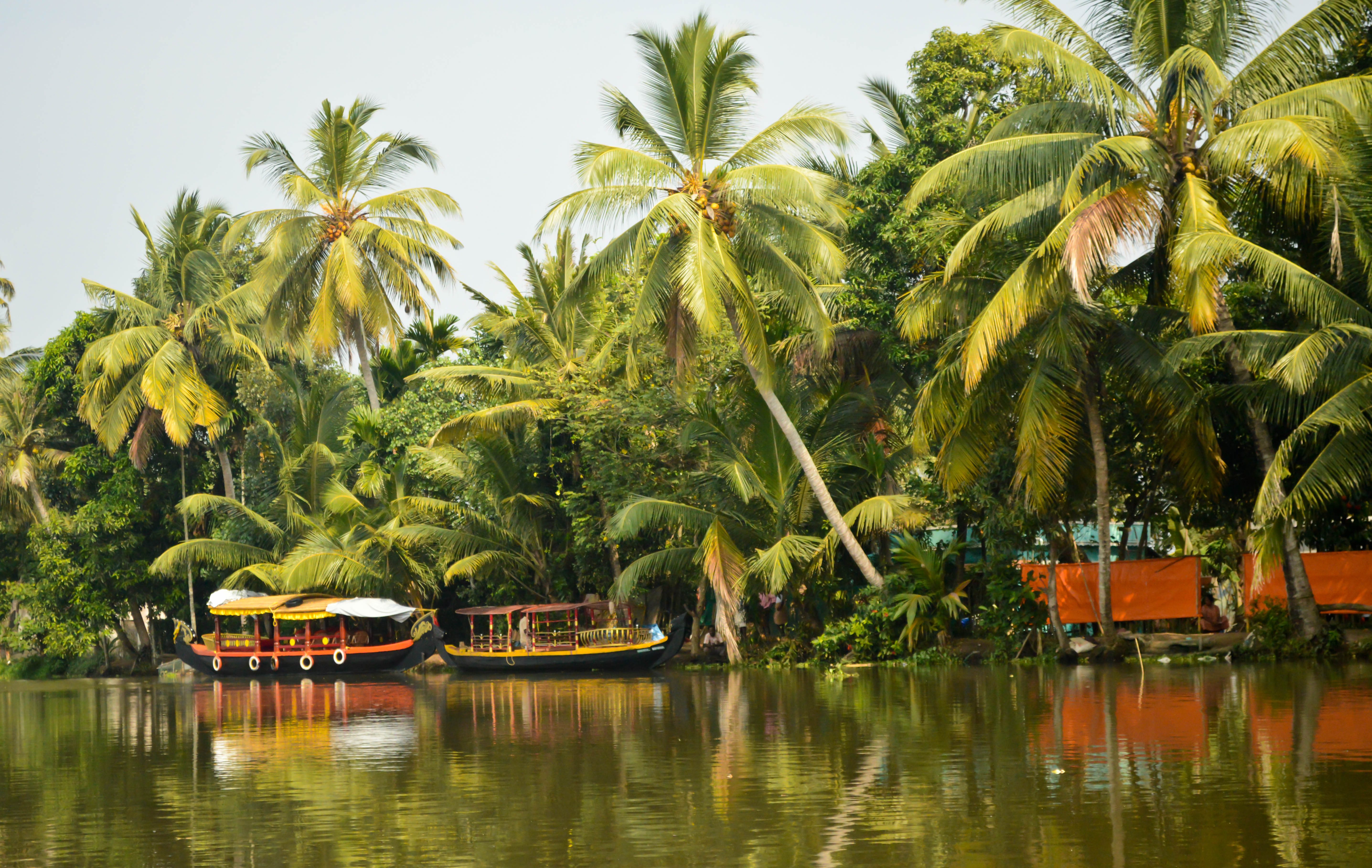 Ernakulam Backwaters